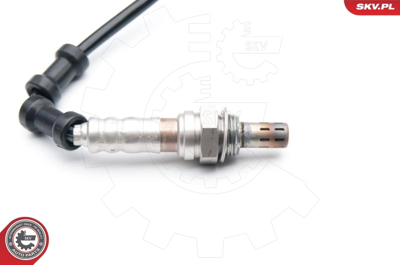 Oxygen Sensor